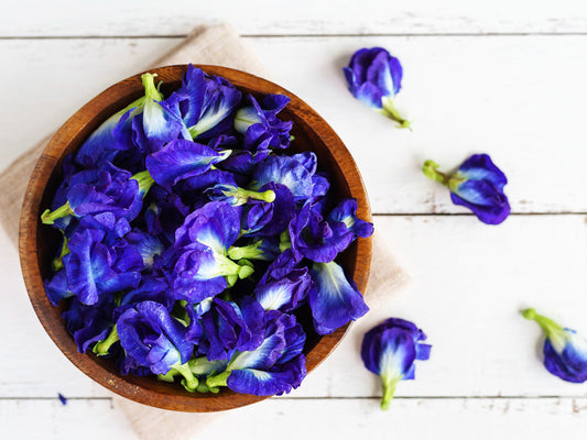 What is blue butterfly pea flower good for?