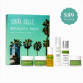 Anti-Aging Discovery Routine