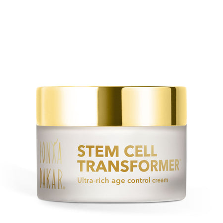 Stem Cell Transformer